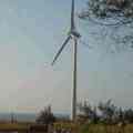 後龍大風車2--海邊、松樹、農夫、大風車