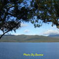 紐西蘭LakeTeAnau第阿納湖-2