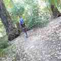 Portola Redwoods Park - 2
