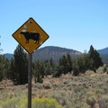 20100905 Shasta Trip - 53