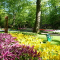 一起拜訪荷蘭庫肯霍夫花園！