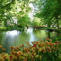 一起拜訪荷蘭庫肯霍夫花園！