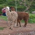 秘魯首都利馬風光