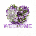 WELCOME - 4
