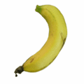 香蕉動畫