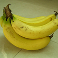 香蕉-06