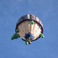 Rochester, NY 南方小鎮每年七月有熱氣球升空