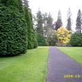 Botanic Garden 10