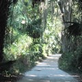 ~ Washinton Oak Gardens State Park ~ - 2