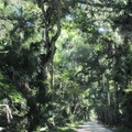 ~ Washinton Oak Gardens State Park ~ - 3