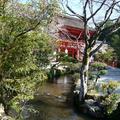 京都上賀茂神社6