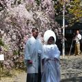 平野神社結婚式新人