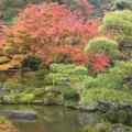 銀閣寺庭園1