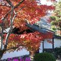 京都嵐山寶嚴院2