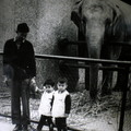 父親帶我們在圓山動物園,背後是當年林旺爺爺的老婆-馬蘭