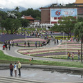 2010-2011台北國際花博 - 1