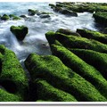 老梅~很優雅的地名，位於北海岸的石門區境內，是一個非常純樸的小村落，大約春、夏交季時節，在浪花滋潤下，石槽開始滋生綠色的海藻，因此形成獨特且令人驚嘆的綠色夢幻~「綠石槽」地質景觀。