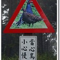 鳥族警示標語