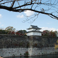 日本，2008 - 2