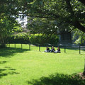 教堂旁的草坪...有人牽著狗散步...有人慵懶的曬著太陽...感覺真舒服!