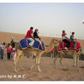 沙漠騎駱駝