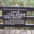 2008 荊楚行 - 5