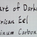 Hear of Darkness & American Eel & Platinum Carbon ink (相片檔)