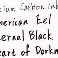 Eteral Black & Hear of Darkness & American Eel & Platinum Carbon ink (掃描檔)