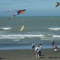 紐西蘭新布萊登風箏節 - 3