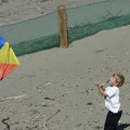 紐西蘭新布萊登風箏節 - 1