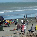 紐西蘭新布萊登風箏節 - 2
