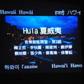 Hula !夏威夷01