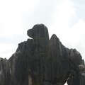 雲南石林 - 導遊說這是老鷹石  像吧！