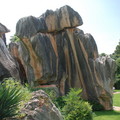 雲南石林 - 小石林的石頭顯得秀麗些
石紋很耀眼