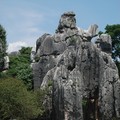 雲南石林 - 是大象還是小象  我沒看出來
