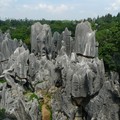 雲南石林 - 怪石叢聚  要有一些想像力
