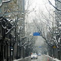 雪的上海新天地街頭-2-20080202