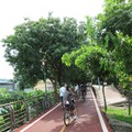 東豐自行車綠廊 - 1