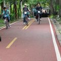 東豐自行車綠廊 - 3