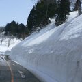 這幾張雪壁的相片可是我從高原巴士後窗捕捉到的喔!