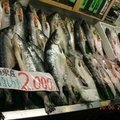 北海道--和商市場--漁