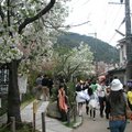 4/13 銀閣寺 哲學之道