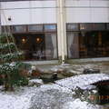 平湯溫泉 雪中的庭園造景