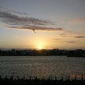 安平海邊的夕陽的風箏