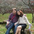 2007 春節-阿里山賞櫻
難得阿昌夫婦與我們全家共遊