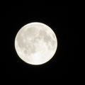 Full Moon 2008
