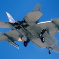 主翼下AIM-120可以外掛但是會犧牲隱形
