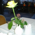 德國早餐桌上的玫瑰