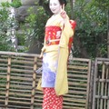 京都的日本藝妓