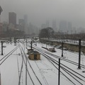 芝城雪景